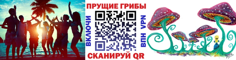 Купить где  Липецк  Галлюциногенные грибы Psilocybe 